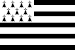 Breton flag